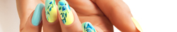 Book Appointment Banner